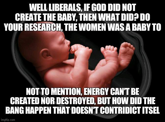 Go on Liberals | WELL LIBERALS, IF GOD DID NOT CREATE THE BABY, THEN WHAT DID? DO YOUR RESEARCH, THE WOMEN WAS A BABY TO; NOT TO MENTION, ENERGY CAN'T BE CREATED NOR DESTROYED, BUT HOW DID THE BANG HAPPEN THAT DOESN'T CONTRIDICT ITSEL | image tagged in baby in womb,liberal | made w/ Imgflip meme maker