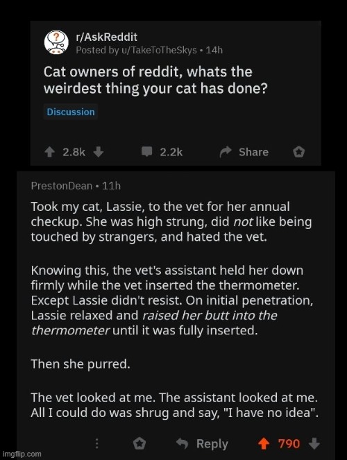 I wonder what that Lassie has been doing... | made w/ Imgflip meme maker