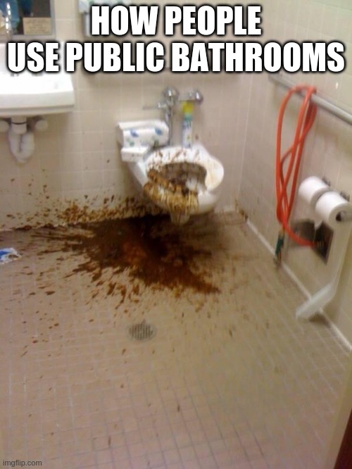 Girls poop too |  HOW PEOPLE USE PUBLIC BATHROOMS | image tagged in girls poop too,public restrooms,crap,nasty | made w/ Imgflip meme maker