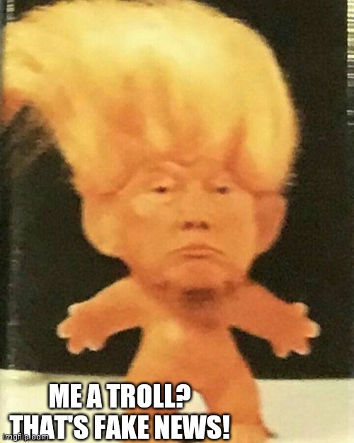 Trump the Troll.. | ME A TROLL?
THAT'S FAKE NEWS! | image tagged in trump the troll | made w/ Imgflip meme maker