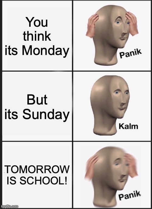 School 2.0 | You think its Monday; But its Sunday; TOMORROW IS SCHOOL! | image tagged in memes,panik kalm panik | made w/ Imgflip meme maker