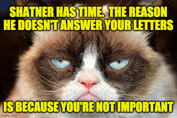 Grumpy Cat Not Amused | SHATNER HAS TIME.  THE REASON
HE DOESN'T ANSWER YOUR LETTERS; IS BECAUSE YOU'RE NOT IMPORTANT | image tagged in memes,grumpy cat not amused,grumpy cat | made w/ Imgflip meme maker