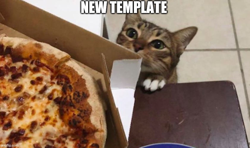 Cat wants pizza | NEW TEMPLATE | image tagged in cat wants pizza | made w/ Imgflip meme maker