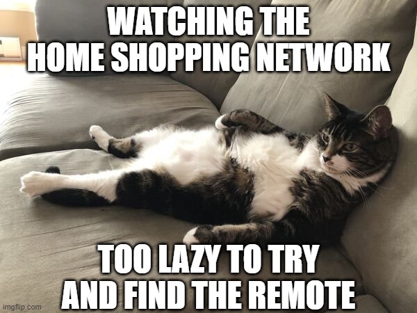 We've all been there | WATCHING THE HOME SHOPPING NETWORK; TOO LAZY TO TRY AND FIND THE REMOTE | image tagged in cats,lazy cat,shopping,watching tv,remote control,tv ads | made w/ Imgflip meme maker