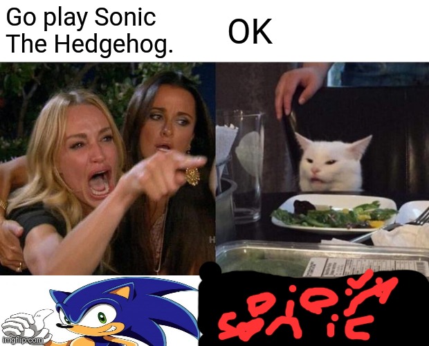 Zzzzzzzzzz |  Go play Sonic The Hedgehog. OK | image tagged in memes,woman yelling at cat | made w/ Imgflip meme maker