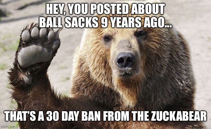 Zuckabear | HEY, YOU POSTED ABOUT BALL SACKS 9 YEARS AGO... THAT’S A 30 DAY BAN FROM THE ZUCKABEAR | image tagged in facebook,banned | made w/ Imgflip meme maker