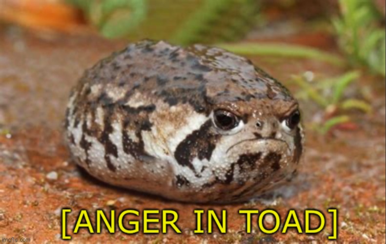 Anger in toad | image tagged in anger in toad | made w/ Imgflip meme maker