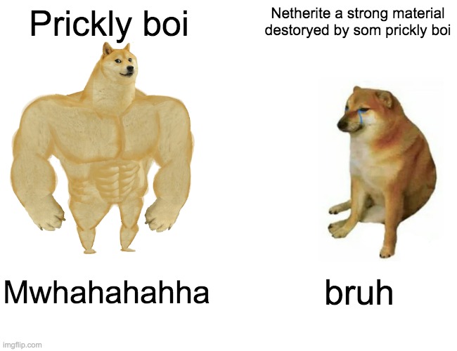 Buff Doge vs. Cheems | Prickly boi; Netherite a strong material destoryed by som prickly boi; Mwhahahahha; bruh | image tagged in memes,buff doge vs cheems | made w/ Imgflip meme maker