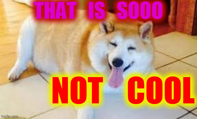 Thicc Doggo | THAT   IS   SOOO NOT    COOL | image tagged in thicc doggo | made w/ Imgflip meme maker