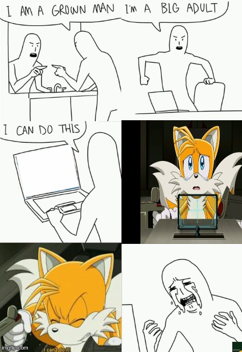 Sonic X's ending was sad, in Japanese of course. | image tagged in i'm a grown man i am a big adult i can do this | made w/ Imgflip meme maker