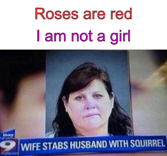 the teeth are what got him | Roses are red; I am not a girl | image tagged in blank white template,funny,memes,funny memes,roses are red,squirrel | made w/ Imgflip meme maker