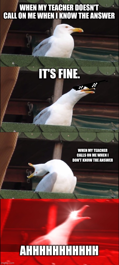 Inhaling Seagull | WHEN MY TEACHER DOESN'T CALL ON ME WHEN I KNOW THE ANSWER; IT'S FINE. WHEN MY TEACHER CALLS ON ME WHEN I DON'T KNOW THE ANSWER; AHHHHHHHHHHH | image tagged in memes,inhaling seagull | made w/ Imgflip meme maker