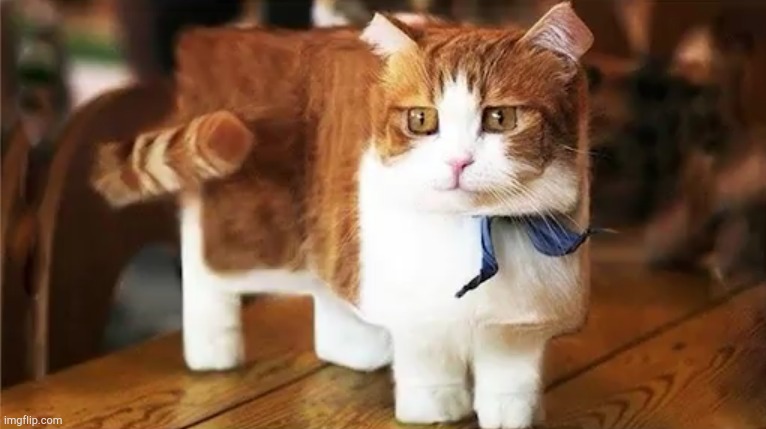 minecraft cat | image tagged in minecraft,cute cat | made w/ Imgflip meme maker