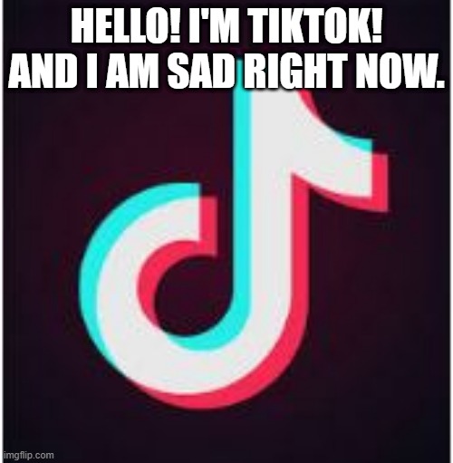 She's crying because you think she sucks. | HELLO! I'M TIKTOK! AND I AM SAD RIGHT NOW. | image tagged in tik tok,tiktok rules,tiktok,tik tok rules | made w/ Imgflip meme maker