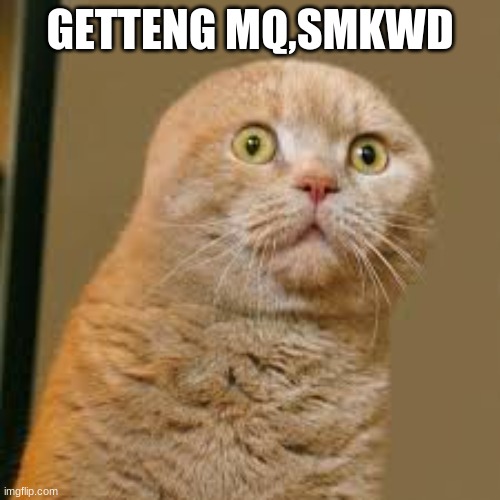 sad sad cat | GETTENG MQ,SMKWD | image tagged in sad sad cat | made w/ Imgflip meme maker