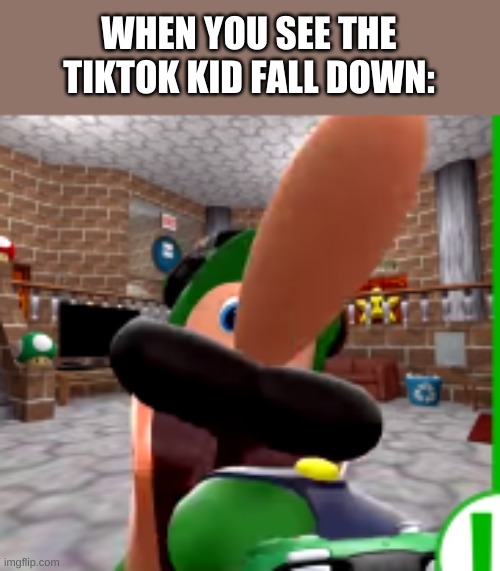 XDDDDDDDD | WHEN YOU SEE THE TIKTOK KID FALL DOWN: | image tagged in xdddddddd | made w/ Imgflip meme maker