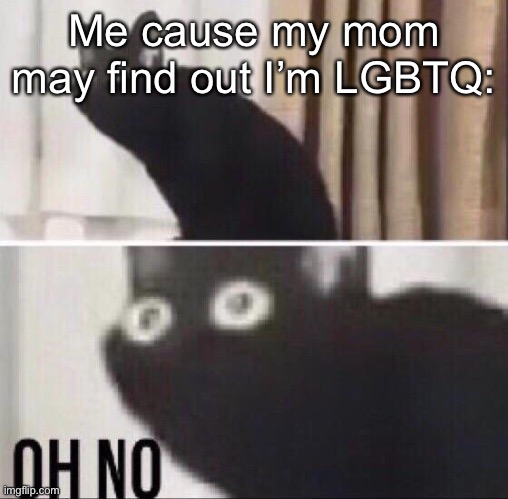 *prays she doesn’t find my account for the 3rd time and delete it* | Me cause my mom may find out I’m LGBTQ: | image tagged in oh no cat | made w/ Imgflip meme maker