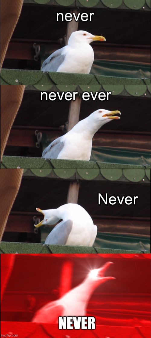 Inhaling Seagull Meme | never never ever Never NEVER | image tagged in memes,inhaling seagull | made w/ Imgflip meme maker