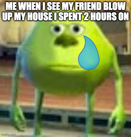 Sully Wazowski | ME WHEN I SEE MY FRIEND BLOW UP MY HOUSE I SPENT 2 HOURS ON | image tagged in sully wazowski | made w/ Imgflip meme maker