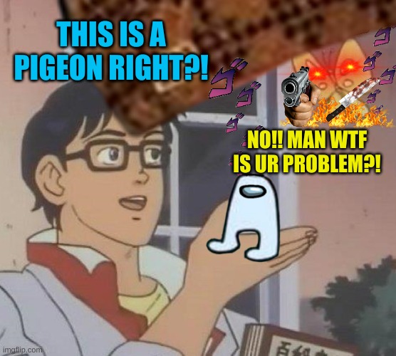 WHEN U ARE ONLY A LITTLE BIT BLIND, Y´KNOW, BUT THIS GUY IS IT A LITTLE BIT TOO MUCH IT | THIS IS A PIGEON RIGHT?! NO!! MAN WTF IS UR PROBLEM?! | image tagged in is this a pigeon,amogus | made w/ Imgflip meme maker