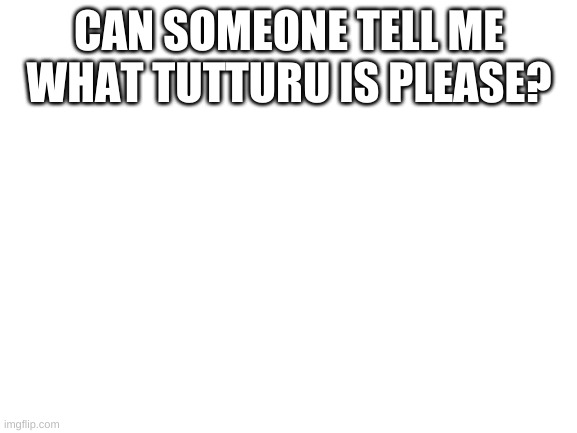 Please? | CAN SOMEONE TELL ME WHAT TUTTURU IS PLEASE? | image tagged in blank white template | made w/ Imgflip meme maker