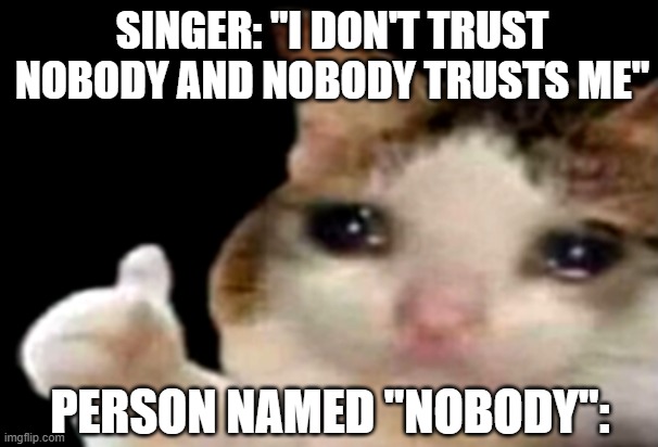 rip Nobody | SINGER: "I DON'T TRUST NOBODY AND NOBODY TRUSTS ME"; PERSON NAMED "NOBODY": | image tagged in sad cat thumbs up,memes | made w/ Imgflip meme maker