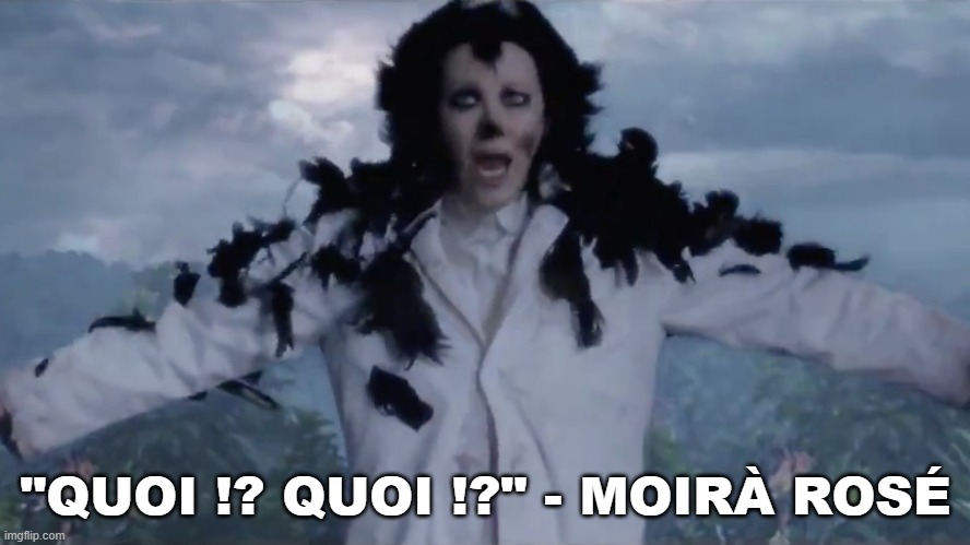 Moira Rose | "QUOI !? QUOI !?" - MOIRÀ ROSÉ | image tagged in crow,schitts creek,moira rose,french | made w/ Imgflip meme maker