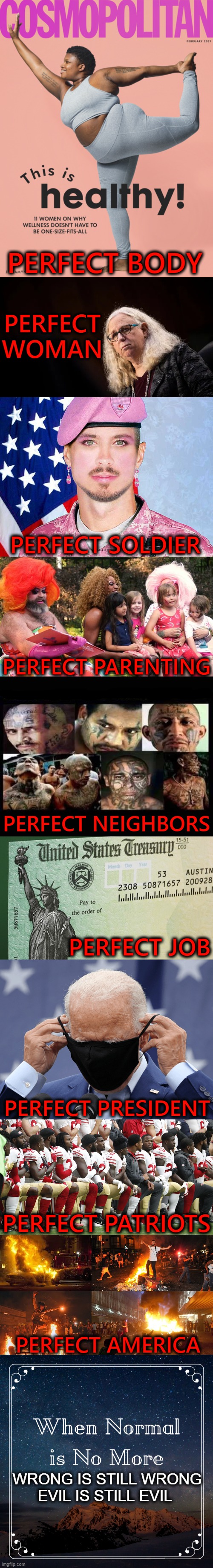 It's Well Past Time to Reject Radicalism | PERFECT BODY; PERFECT WOMAN; PERFECT SOLDIER; PERFECT PARENTING; PERFECT NEIGHBORS; PERFECT JOB; PERFECT PRESIDENT; PERFECT PATRIOTS; PERFECT AMERICA | image tagged in political meme,democratic socialism,radicalism,evil,upside-down | made w/ Imgflip meme maker
