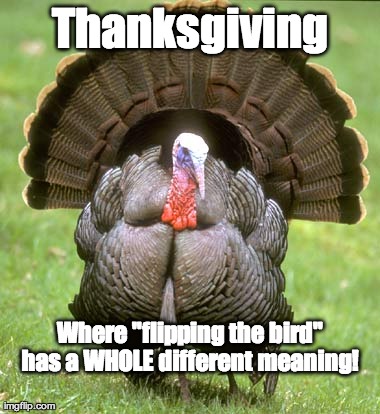 Turkey | image tagged in memes,turkey | made w/ Imgflip meme maker