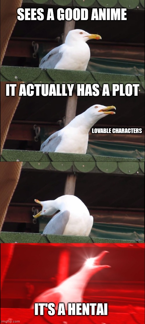 Inhaling Seagull Meme | SEES A GOOD ANIME; IT ACTUALLY HAS A PLOT; LOVABLE CHARACTERS; IT'S A HENTAI | image tagged in memes,inhaling seagull | made w/ Imgflip meme maker