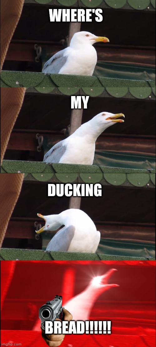 Inhaling Seagull Meme | WHERE'S; MY; DUCKING; BREAD!!!!!! | image tagged in memes,inhaling seagull | made w/ Imgflip meme maker