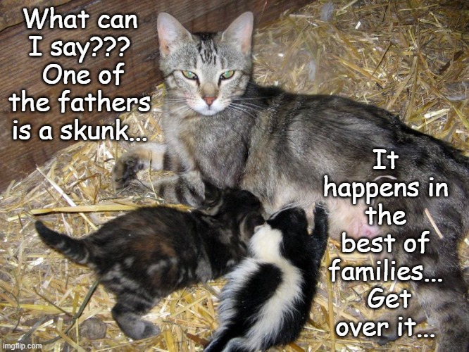 Get over it... | What can I say???  One of the fathers is a skunk... It happens in the best of families...  Get over it... | image tagged in skunk,cat,pepe le pew,ridiculous cancel culture | made w/ Imgflip meme maker
