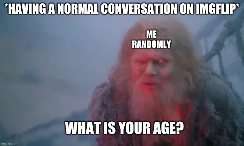 True story | *HAVING A NORMAL CONVERSATION ON IMGFLIP*; ME RANDOMLY; WHAT IS YOUR AGE? | image tagged in what is your name | made w/ Imgflip meme maker
