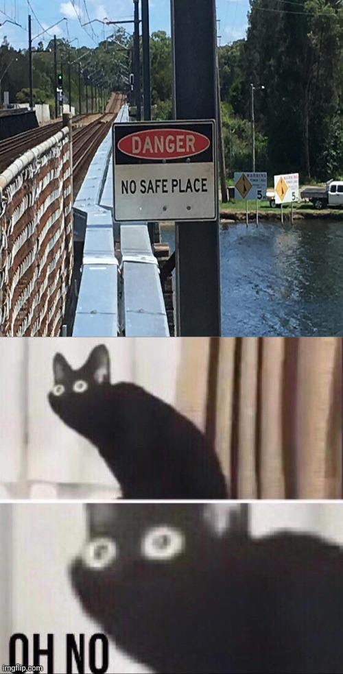 Danger: No safe place | image tagged in oh no cat,memes,meme,funny signs,funny,oh no black cat | made w/ Imgflip meme maker