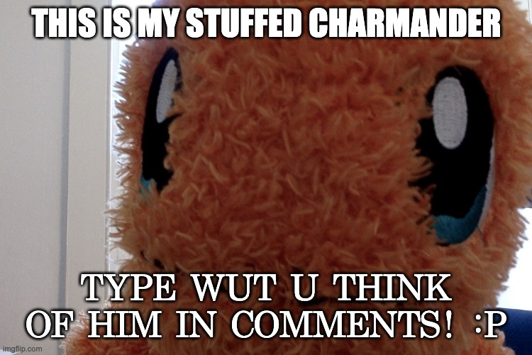 hehehehehe yeeee | THIS IS MY STUFFED CHARMANDER; TYPE WUT U THINK OF HIM IN COMMENTS! :P | image tagged in amazong,charmander,hehehe | made w/ Imgflip meme maker