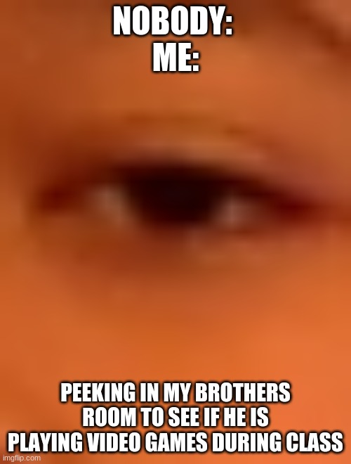 Eagle eyes | NOBODY: 
ME:; PEEKING IN MY BROTHERS ROOM TO SEE IF HE IS PLAYING VIDEO GAMES DURING CLASS | image tagged in my friends eye,brother | made w/ Imgflip meme maker
