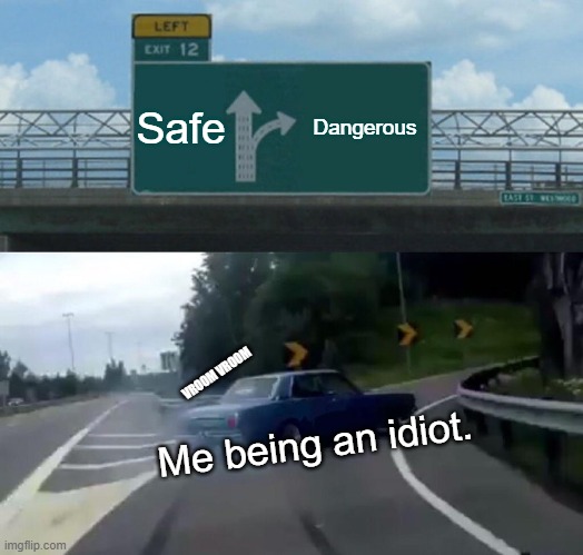 Left Exit 12 Off Ramp Meme | Safe; Dangerous; VROOM VROOM; Me being an idiot. | image tagged in memes,left exit 12 off ramp | made w/ Imgflip meme maker