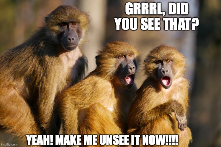 Grrrl Did You See That? |  GRRRL, DID YOU SEE THAT? YEAH! MAKE ME UNSEE IT NOW!!!! | image tagged in funny animals,can't unsee,wth,ridiculous,shocked monkey,make me unsee it | made w/ Imgflip meme maker