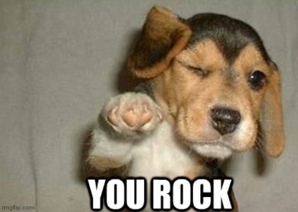 you rock | image tagged in you rock | made w/ Imgflip meme maker