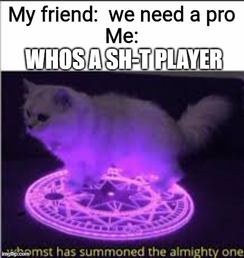 This is entirley true | WHOS A SH-T PLAYER | image tagged in im stoopid,eef | made w/ Imgflip meme maker