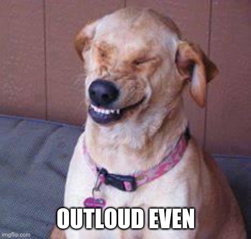 funny dog | OUTLOUD EVEN | image tagged in funny dog | made w/ Imgflip meme maker
