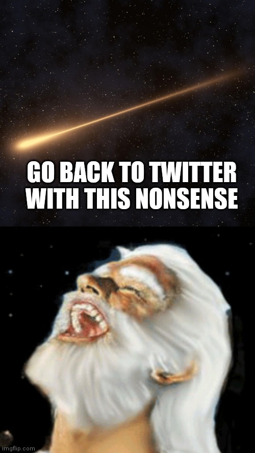 God Laughs At Your Wish | GO BACK TO TWITTER WITH THIS NONSENSE | image tagged in god laughs at your wish | made w/ Imgflip meme maker