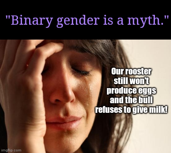 First World Liberal Karen | "Binary gender is a myth."; Our rooster still won't produce eggs and the bull refuses to give milk! | image tagged in memes,first world problems,transgender,binary,gender identity,stupid liberals | made w/ Imgflip meme maker