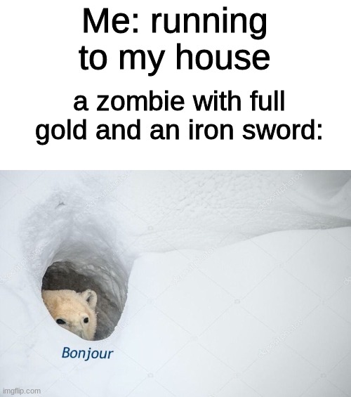 Based on true events | Me: running to my house; a zombie with full gold and an iron sword: | image tagged in bonjour,minecraft | made w/ Imgflip meme maker
