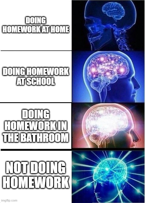 Homework locations | DOING HOMEWORK AT HOME; DOING HOMEWORK AT SCHOOL; DOING HOMEWORK IN THE BATHROOM; NOT DOING HOMEWORK | image tagged in memes,expanding brain | made w/ Imgflip meme maker