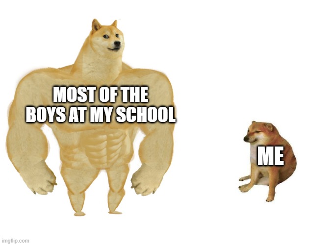 Big dog small dog | MOST OF THE BOYS AT MY SCHOOL; ME | image tagged in big dog small dog | made w/ Imgflip meme maker