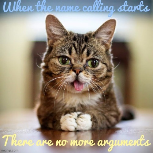 How to know if the other has run out of arguments? | image tagged in social media,lolcats,arguments,your argument is invalid | made w/ Imgflip meme maker