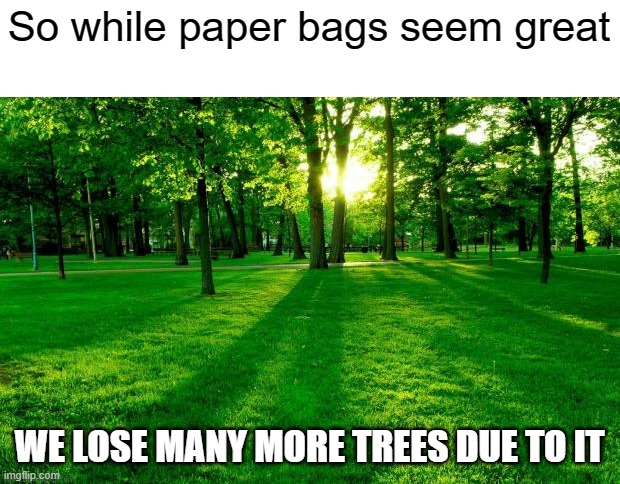 That is not good either, why not neither paper or plastic | So while paper bags seem great; WE LOSE MANY MORE TREES DUE TO IT | image tagged in grass and trees,paper,bag | made w/ Imgflip meme maker