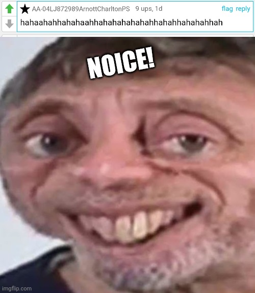 Awesome! |  NOICE! | image tagged in noice | made w/ Imgflip meme maker