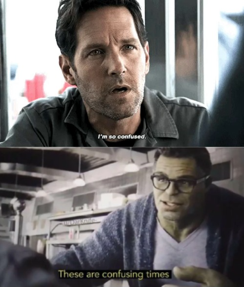 I'm so confused. These are confusing times. Ant-Man and Hulk Blank Meme Template